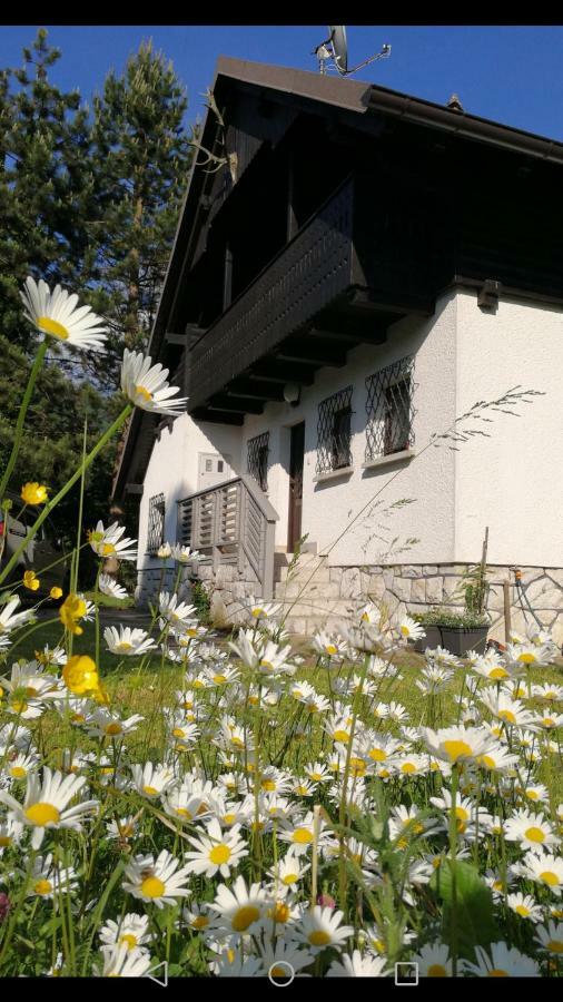 River House Hrib Preddvor Exterior photo